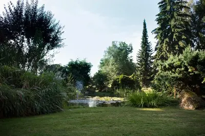 Naturlandschaft in der Nähe der Pension