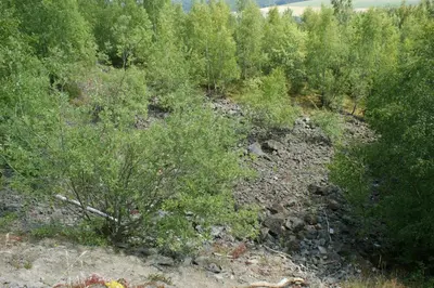 Naturlandschaft in der Nähe der Pension