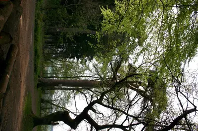 Naturlandschaft in der Nähe der Pension