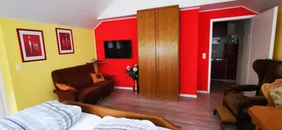 TV/Unterhaltungsangebot in der Unterkunft Pension & Apartments Linkemühle