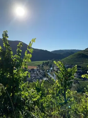 Naturlandschaft in der Nähe der Ferienwohnung
