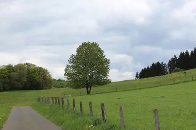 Naturlandschaft in der Nähe der Ferienwohnung