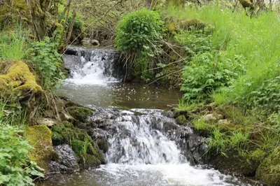 Naturlandschaft in der Nähe der Ferienwohnung