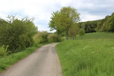 Naturlandschaft in der Nähe der Ferienwohnung
