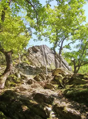 Naturlandschaft in der Nähe der Ferienwohnung