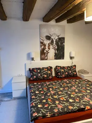 Ein Bett oder Betten in einem Zimmer der Unterkunft Schöne Ferienwohnung Gewölbekeller Fachwerkhaus