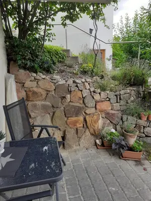 Ein Garten an der Unterkunft Lorch Lorchhausen Mittelrheintal Weltkulturerbe