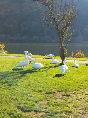 Naturlandschaft in der Nähe der Ferienwohnung