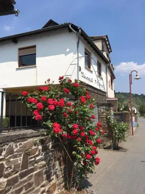 Das Gebäude in dem sich die Pension befindet
