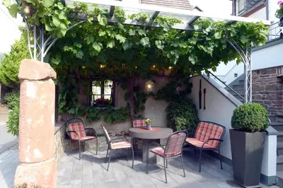 Ein Garten an der Unterkunft Wein- und Gästehaus M. Bai