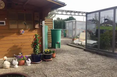 Ein Garten an der Unterkunft Ferienhaus Wilhelm mitten im Hunsrück