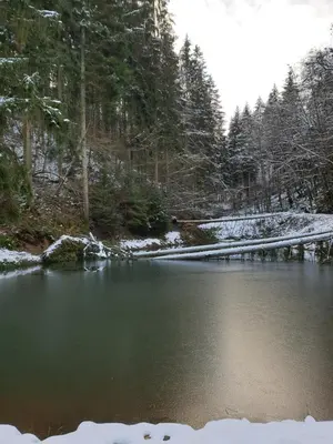 Naturlandschaft in der Nähe des Ferienhauses