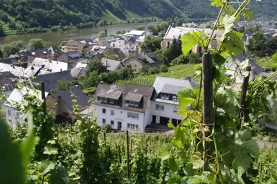 Naturlandschaft in der Nähe der Pension