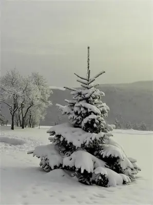 Ferienwohnung Hügelhaus im Winter