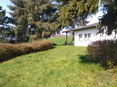 Ein Garten an der Unterkunft Maja am See