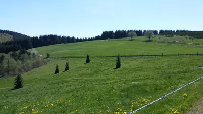 Naturlandschaft in der Nähe der Pension