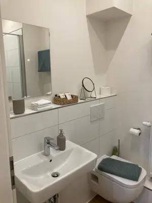 Ein Badezimmer in der Unterkunft Apartment Hallenbach