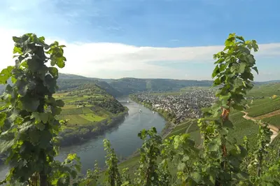 Naturlandschaft in der Nähe des Bed & Breakfasts