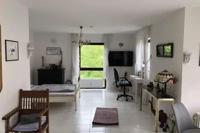 TV/Unterhaltungsangebot in der Unterkunft Ferienwohnung Naheblick
