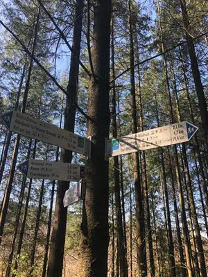 Naturlandschaft in der Nähe der Ferienwohnung