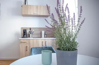 Küche/Küchenzeile in der Unterkunft Apartment Kabinett Zell