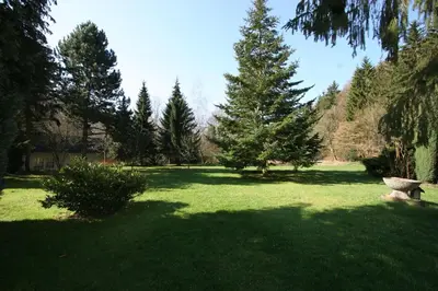 Ein Garten an der Unterkunft Park Hotel am Schloss