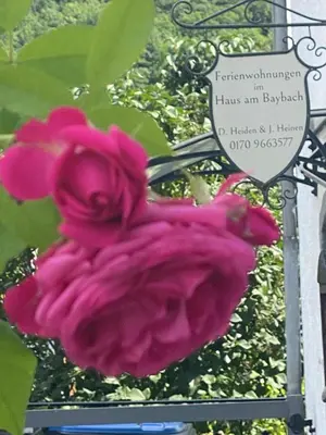Ein Garten an der Unterkunft Ferienhaus am Baybach in Burgen an der Mosel