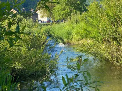 Naturlandschaft in der Nähe der Ferienwohnung