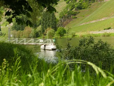 Naturlandschaft in der Nähe der Ferienwohnung