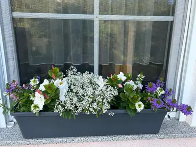 Ein Garten an der Unterkunft Gemütliche Ferienwohnung im Hunsrück