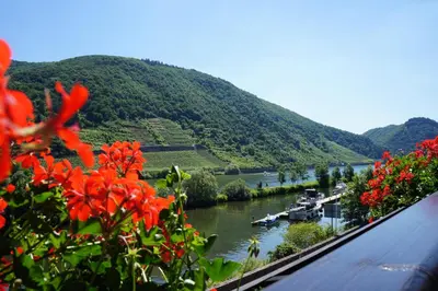 Naturlandschaft in der Nähe des Hotels