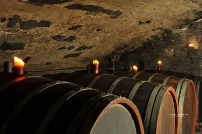 Grundriss der Unterkunft Ferienweingut Arnold Fuhrmann & Sohn