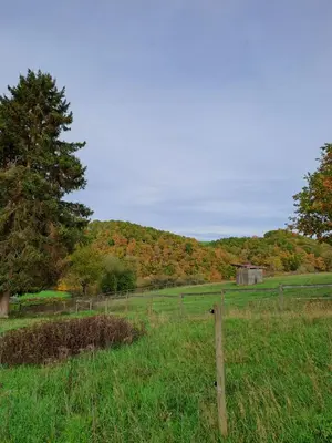 Naturlandschaft in der Nähe des Ferienhauses