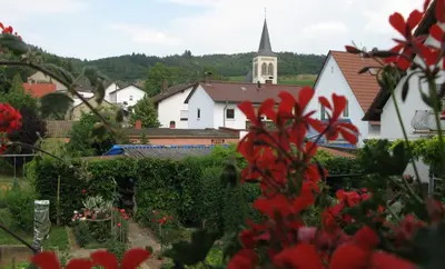 Ein Garten an der Unterkunft Zur Rotenfelsstube