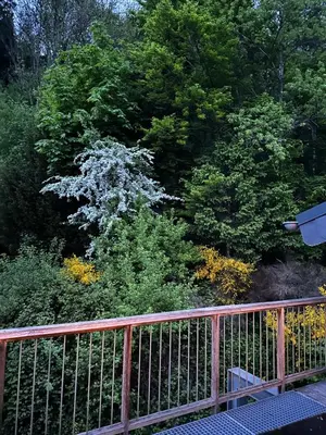 Ein Garten an der Unterkunft Dachterrassenwohnung - nah am See