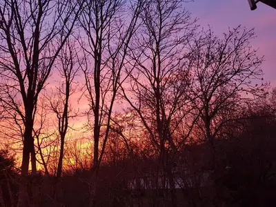 Blick auf den Sonnenuntergang/Sonnenaufgang von der Ferienwohnung aus oder aus der Nähe