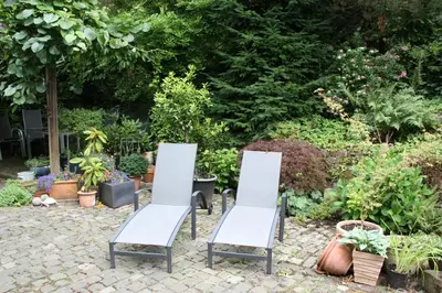 Ein Garten an der Unterkunft Ferienwohnungen-In-Bacharach