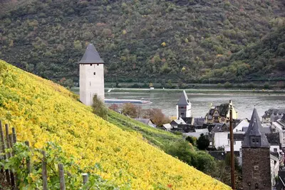 Naturlandschaft in der Nähe der Ferienwohnung