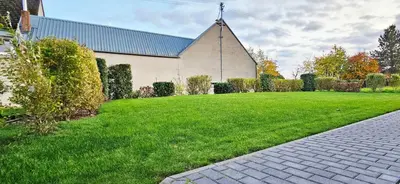 Ein Garten an der Unterkunft Ferienhäuser Brieden - 
