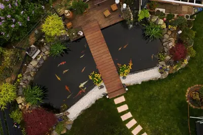 Ein Garten an der Unterkunft Schöne, geräumige Souterrain mit Japangarten, kostenlos Parkplatz