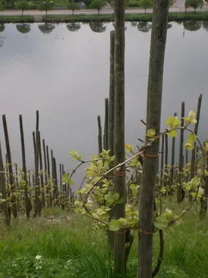 Naturlandschaft in der Nähe des Ferienhauses