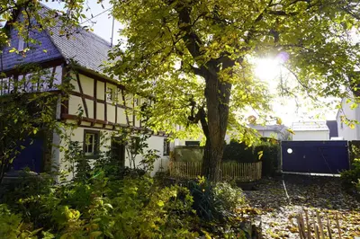 Ein Garten an der Unterkunft Hedwigs Hexenhäuschen