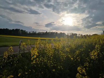 Naturlandschaft in der Nähe der Ferienwohnung