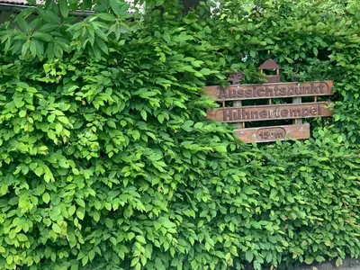 Ein Garten an der Unterkunft Loreley Hills Residence