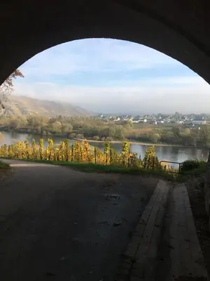 Naturlandschaft in der Nähe des Bed & Breakfasts
