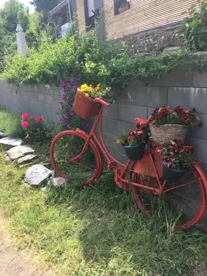 Ein Garten an der Unterkunft B&B Villa Altero