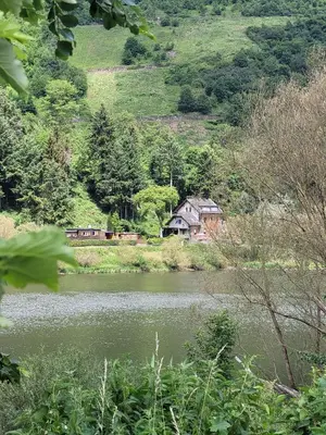 Naturlandschaft in der Nähe des Bed & Breakfasts