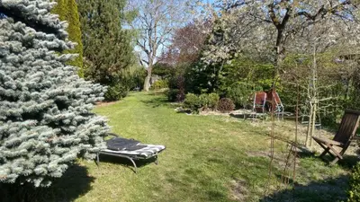 Ein Garten an der Unterkunft Ferienwohnung Kunstscheune Mosel