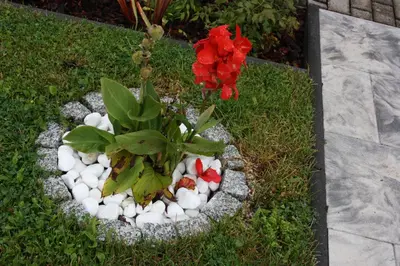Ein Garten an der Unterkunft Diamanthaus 2 Koblenz