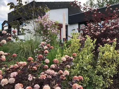 Ein Garten an der Unterkunft Ferienhaus Schöner Maarblick